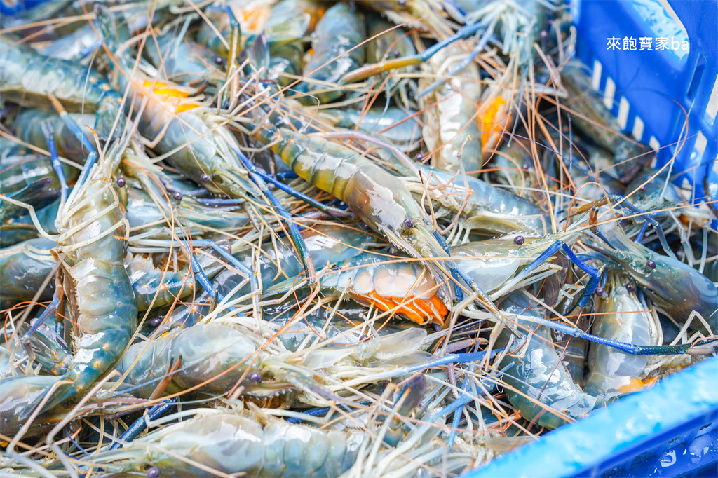 台中海鮮推薦【阿布潘水產】台中超人氣海鮮超市，海鮮控必買活體海鮮、生魚片，必逛假日市集 @來飽寶家ba