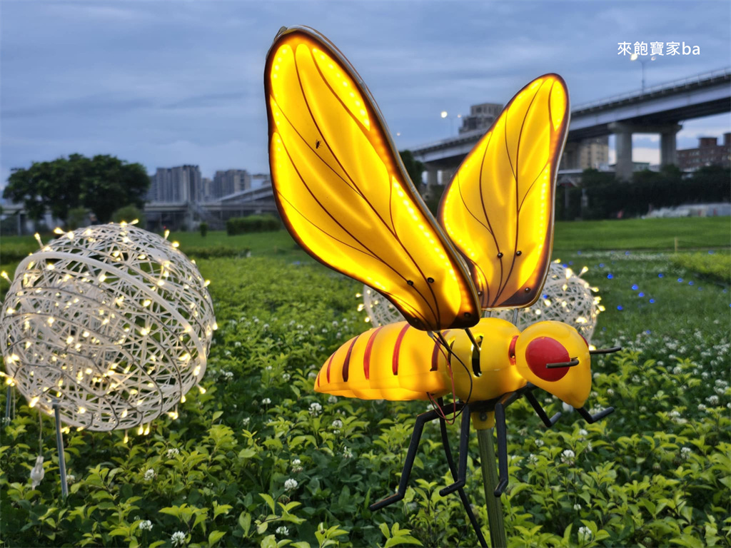 【2025新北河濱蝶戀季・初夏奇境】8萬株花海秘境，夜賞璀璨光影，邂逅初夏才有的浪漫！（交通、活動資訊） @來飽寶家ba