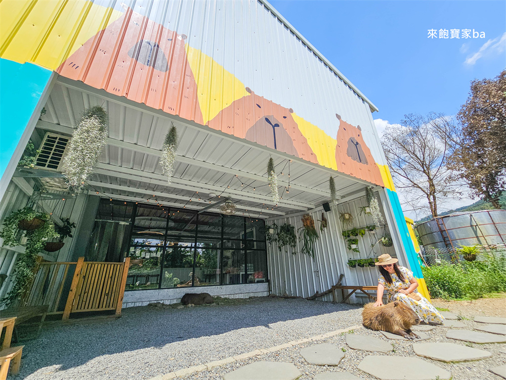 埔里美食【享日啡啡】南投水豚咖啡廳，用餐就能免費與水豚近距離互動 @來飽寶家ba