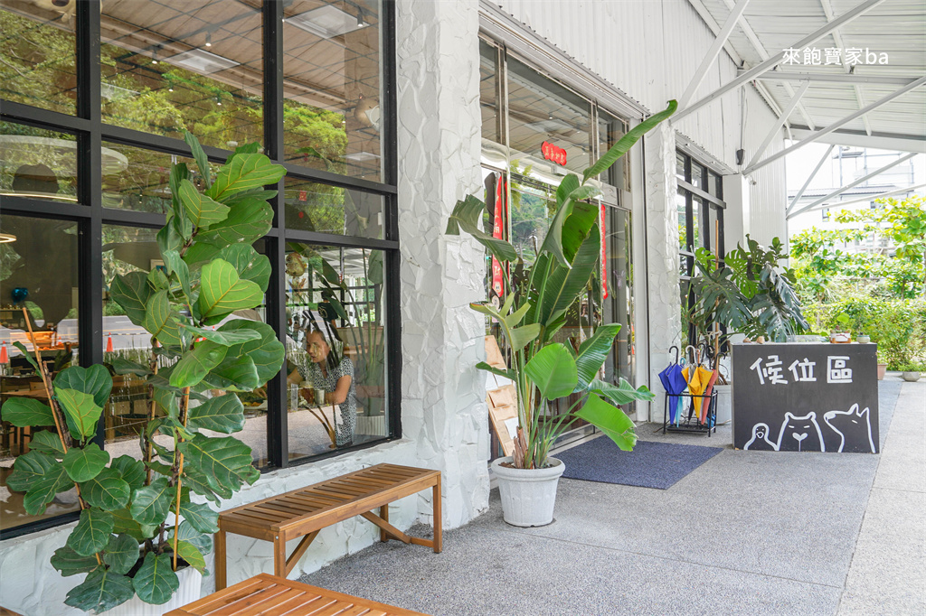 埔里美食【享日啡啡】南投水豚咖啡廳，用餐就能免費與水豚近距離互動 @來飽寶家ba