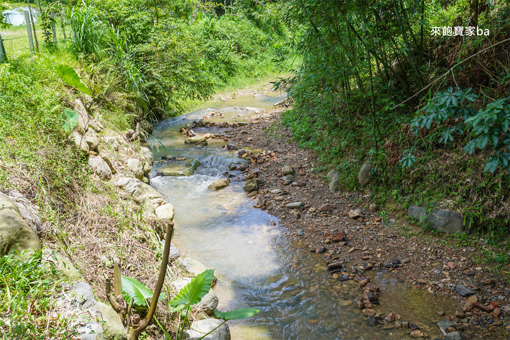 埔里景點【岸境濕地莊園】南投埔里山泉戲水區~結合戲水、咖啡廳、生態導覽 @來飽寶家ba