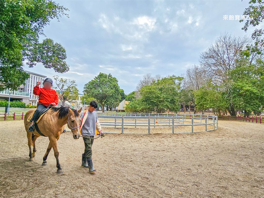 台中后里【后里馬場】瘋馬大馬戲團特技馬術、餵馬騎馬體驗（票價、評價） @來飽寶家ba