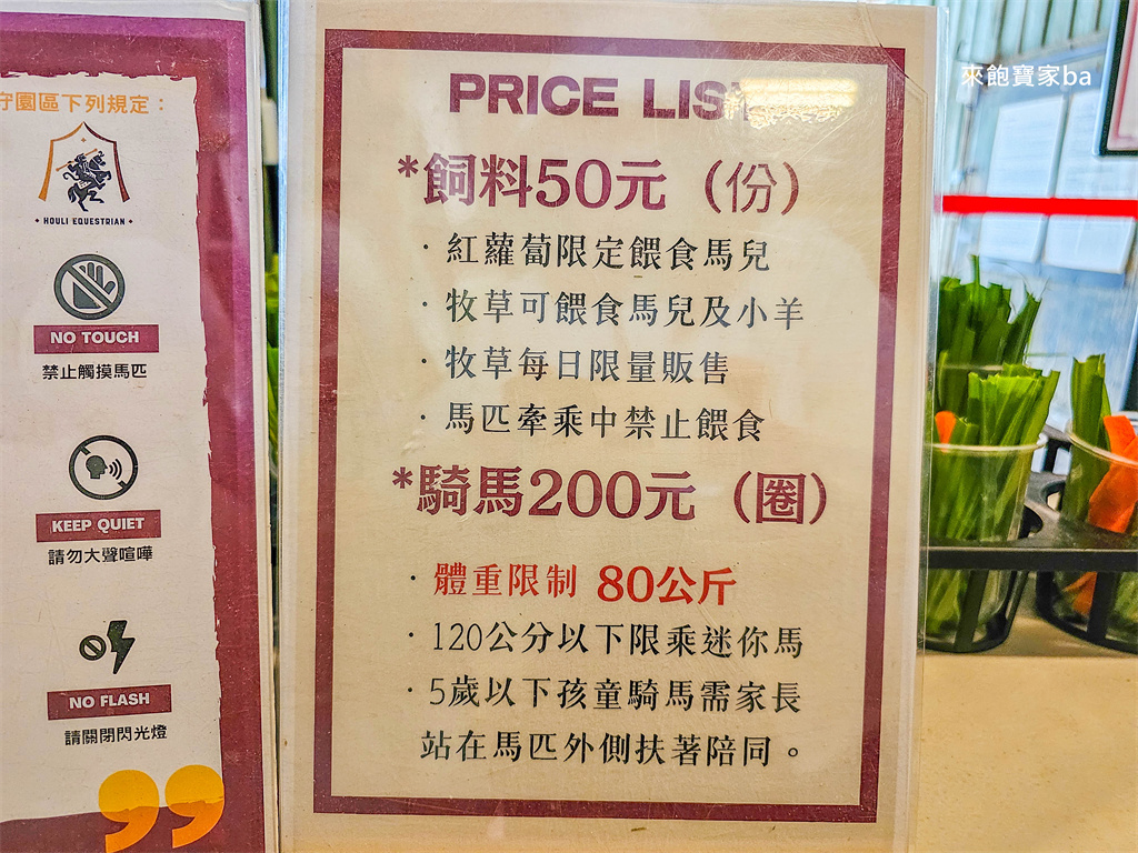 台中后里【后里馬場】瘋馬大馬戲團特技馬術、餵馬騎馬體驗（票價、評價） @來飽寶家ba