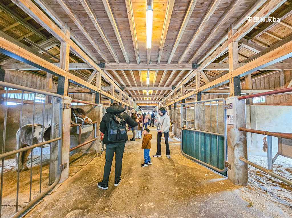 台中后里【后里馬場】瘋馬大馬戲團特技馬術、餵馬騎馬體驗（票價、評價） @來飽寶家ba