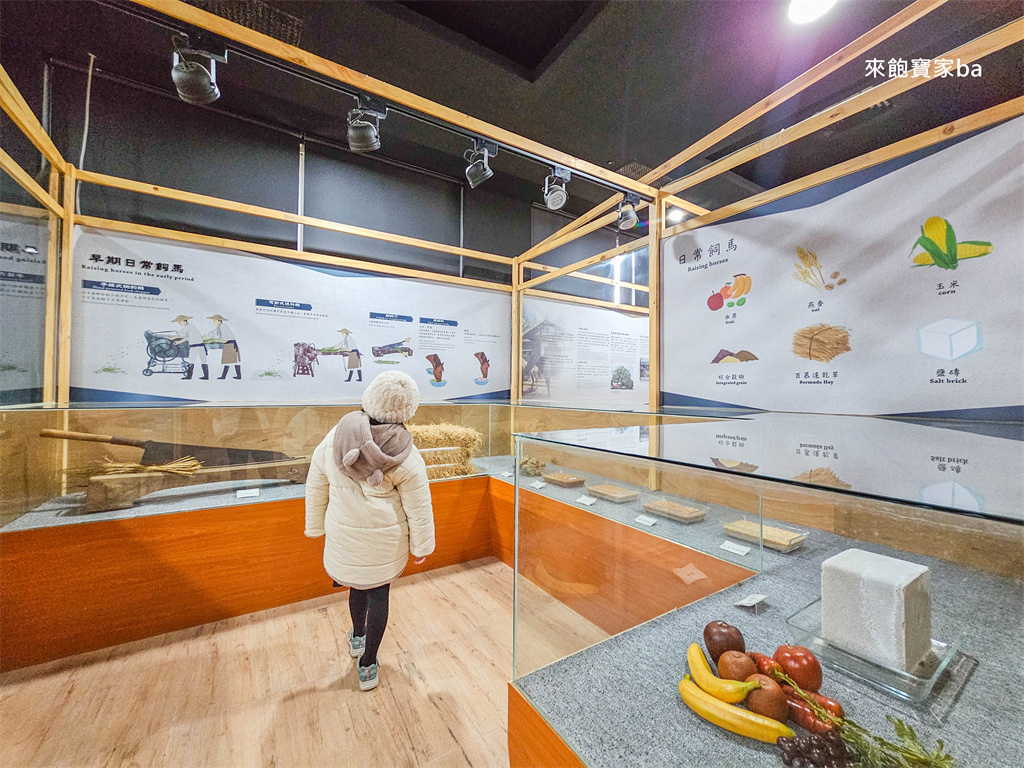 台中后里【后里馬場】瘋馬大馬戲團特技馬術、餵馬騎馬體驗（票價、評價） @來飽寶家ba