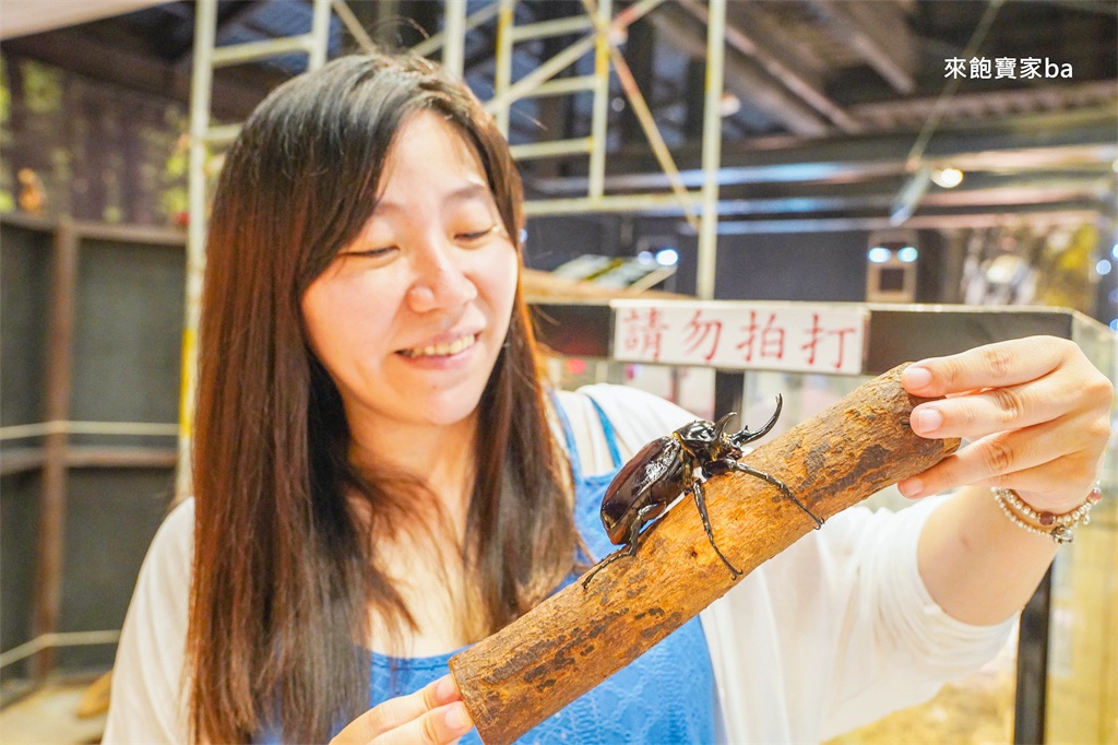嘉義親子景點【新嘉大昆蟲館】必參加解說導覽，昆蟲體驗區近距離觸摸觀察 @來飽寶家ba