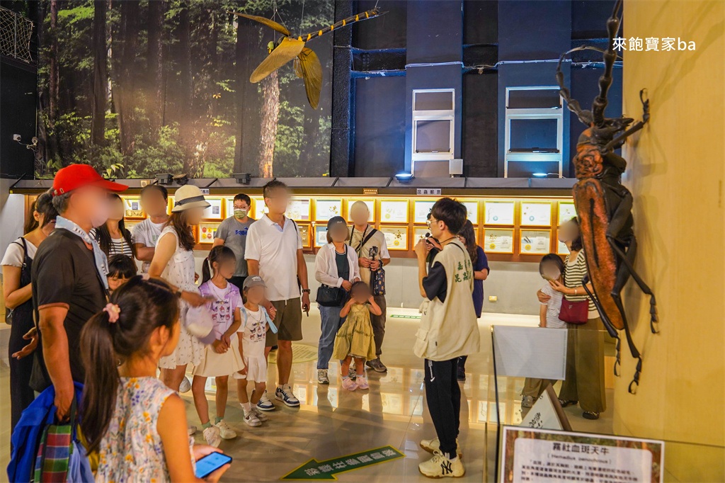 嘉義親子景點【新嘉大昆蟲館】必參加解說導覽，昆蟲體驗區近距離觸摸觀察 @來飽寶家ba