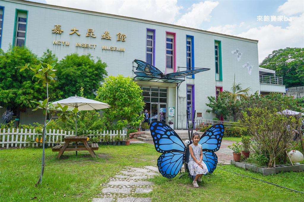 嘉義親子景點【新嘉大昆蟲館】必參加解說導覽，昆蟲體驗區近距離觸摸觀察 @來飽寶家ba
