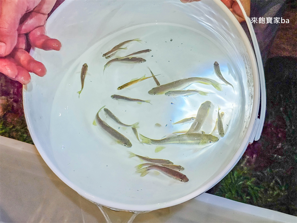 埔里兩天一夜行程推薦~半日茶師、農事體驗、DIY香氛蠟燭、音樂盒，埔里必玩必吃推薦 @來飽寶家ba
