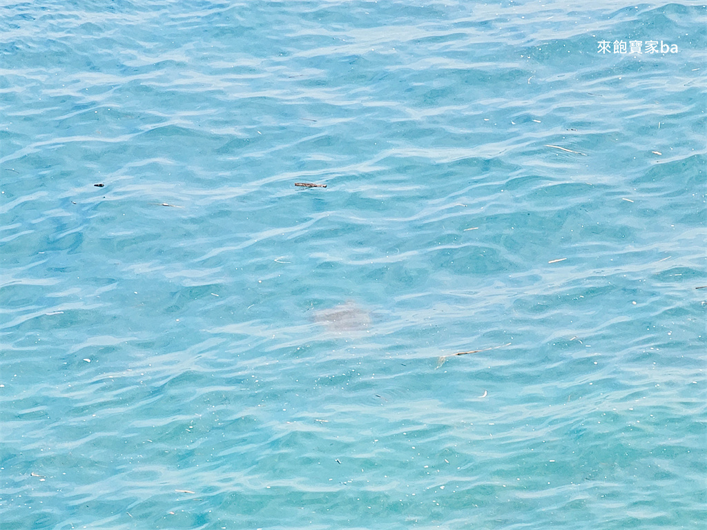 小琉球景點【望海亭】180度無死角海岸線，賞海景賞海龜最佳景點！ @來飽寶家ba