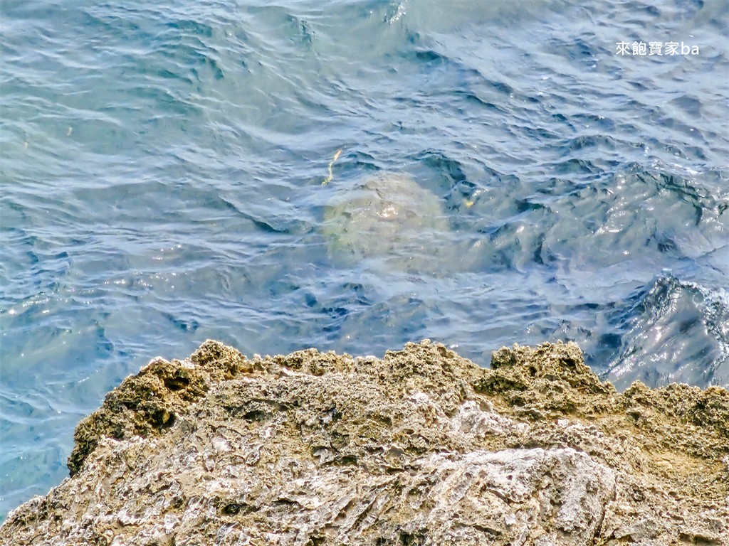 小琉球景點【望海亭】180度無死角海岸線，賞海景賞海龜最佳景點！ @來飽寶家ba