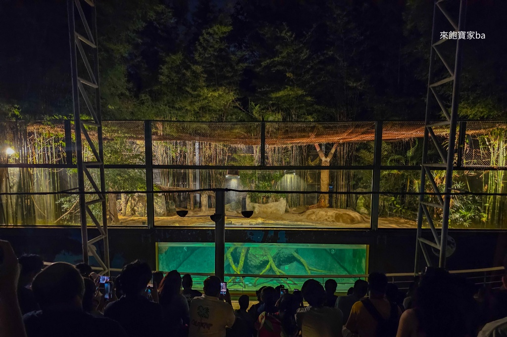 清邁景點【清邁夜間動物園】Chiang Mai Night Safari行程建議/門票優惠/交通方式 @來飽寶家ba 清邁景點【清邁夜間動物園】Chiang Mai Night Safari行程建議/門票優惠/交通方式 @來飽寶家ba