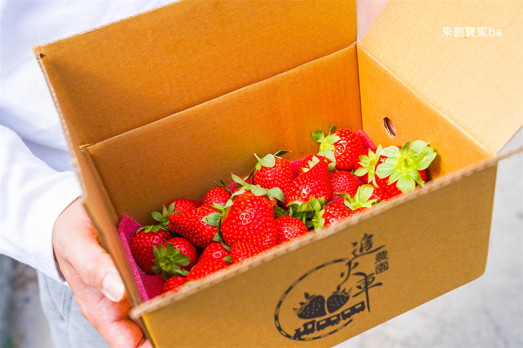 台中採草莓【追火車草莓園】邊採草莓邊看火車，后里草莓園免入園費秤重計價 @來飽寶家ba