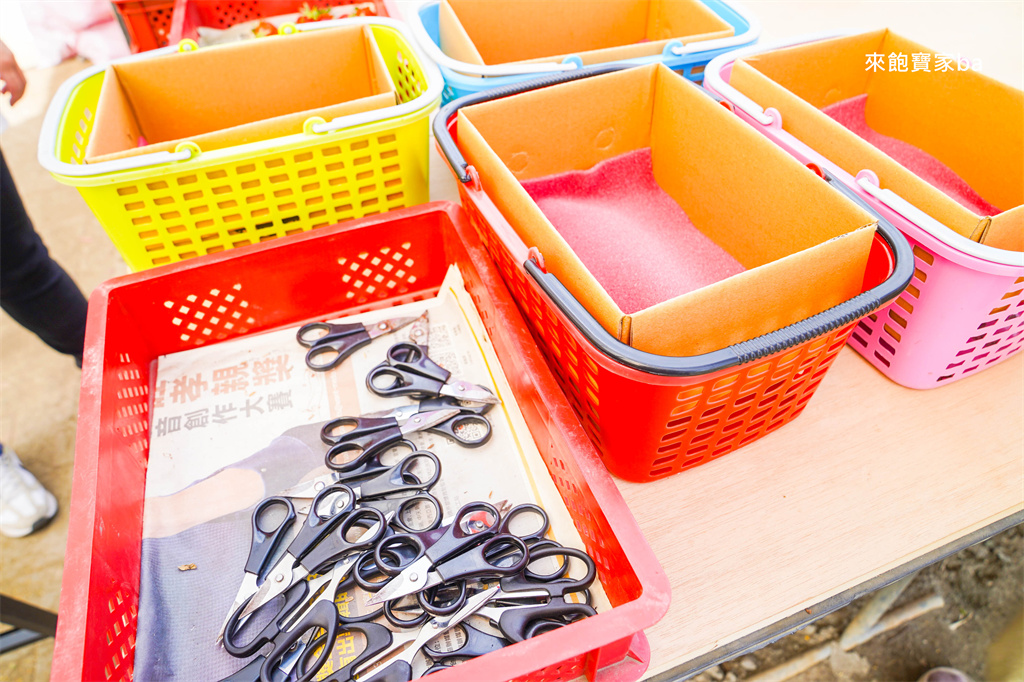台中採草莓【追火車草莓園】邊採草莓邊看火車,后里草莓園免入園費秤重計價 @來飽寶家ba 台中採草莓【追火車草莓園】邊採草莓邊看火車,后里草莓園免入園費秤重計價 @來飽寶家ba