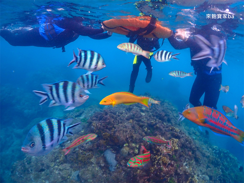 不會游泳也能浮潛嗎？墾丁潛水店推薦【心海潛水中心】，讓小朋友、怕水的你都能輕鬆享受大海！ @來飽寶家ba