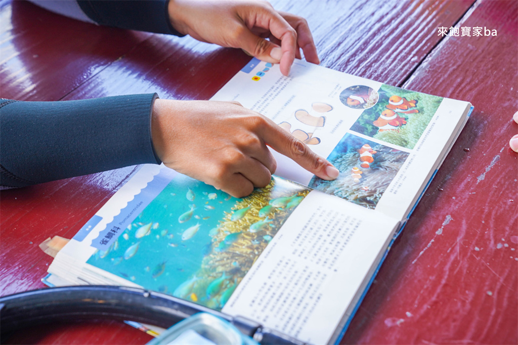 不會游泳也能浮潛嗎？墾丁萬里桐【心海潛水中心】讓小朋友、怕水族也能輕鬆擁抱大海！ @來飽寶家ba