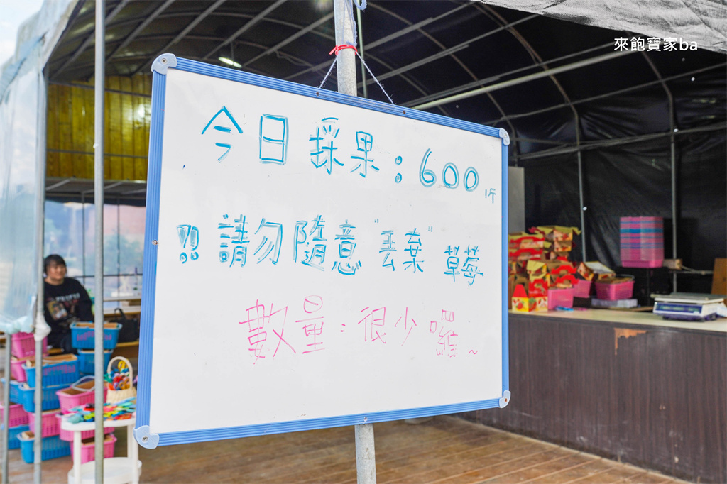 台中採草莓【福德爺草莓園】潭子高架跟地面草莓，享受採果樂趣，停車方便、環境乾淨，鄰近草莓世界！ @來飽寶家ba