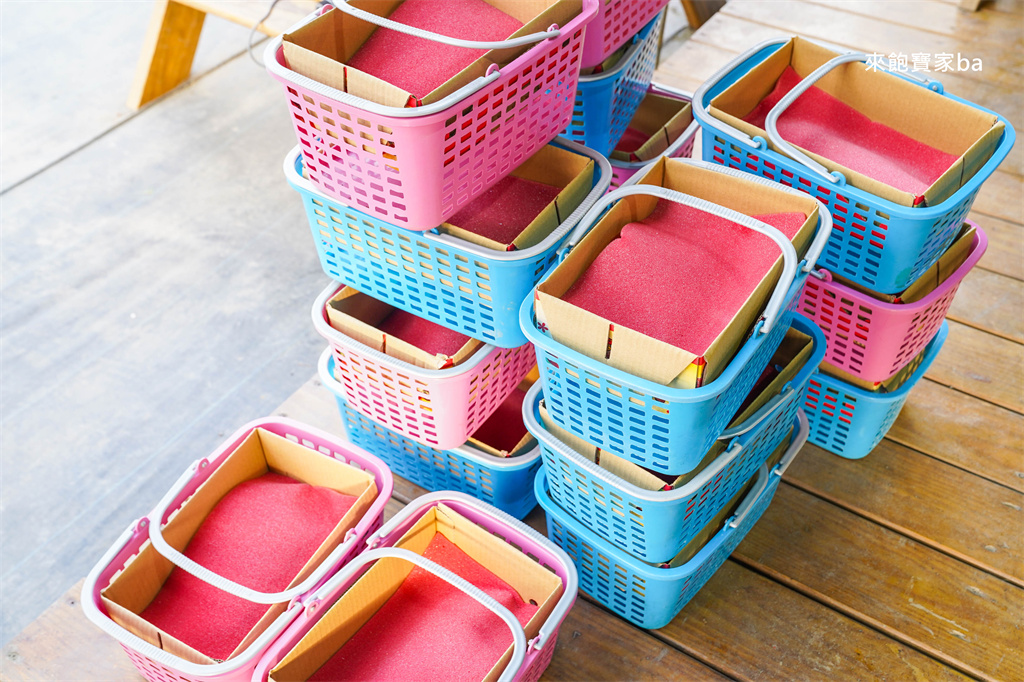 台中採草莓【福德爺草莓園】潭子高架跟地面草莓，享受採果樂趣，停車方便、環境乾淨，鄰近草莓世界！ @來飽寶家ba