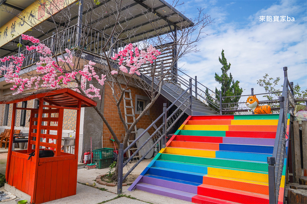 台中外埔【義虎堂】全台最萌虎爺廟！吃紅蛋轉好運、寶寶抓週、餵魚，祈求出運！ @來飽寶家ba