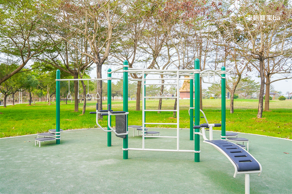 屏東特色公園【新埤鄉貓頭鷹共融公園】挑戰8公尺高貓頭鷹遊戲塔x 立體攀爬架，免費放電好去處 @來飽寶家ba