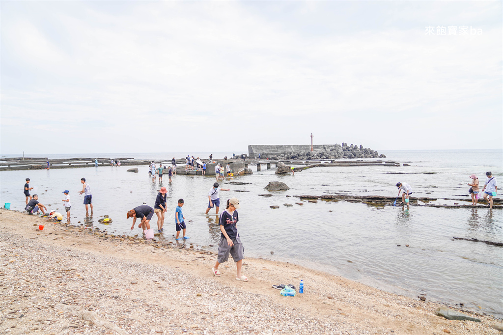新北貢寮【馬崗潮間帶】最東邊的天然水族館，東北角探索海洋生態 @來飽寶家ba