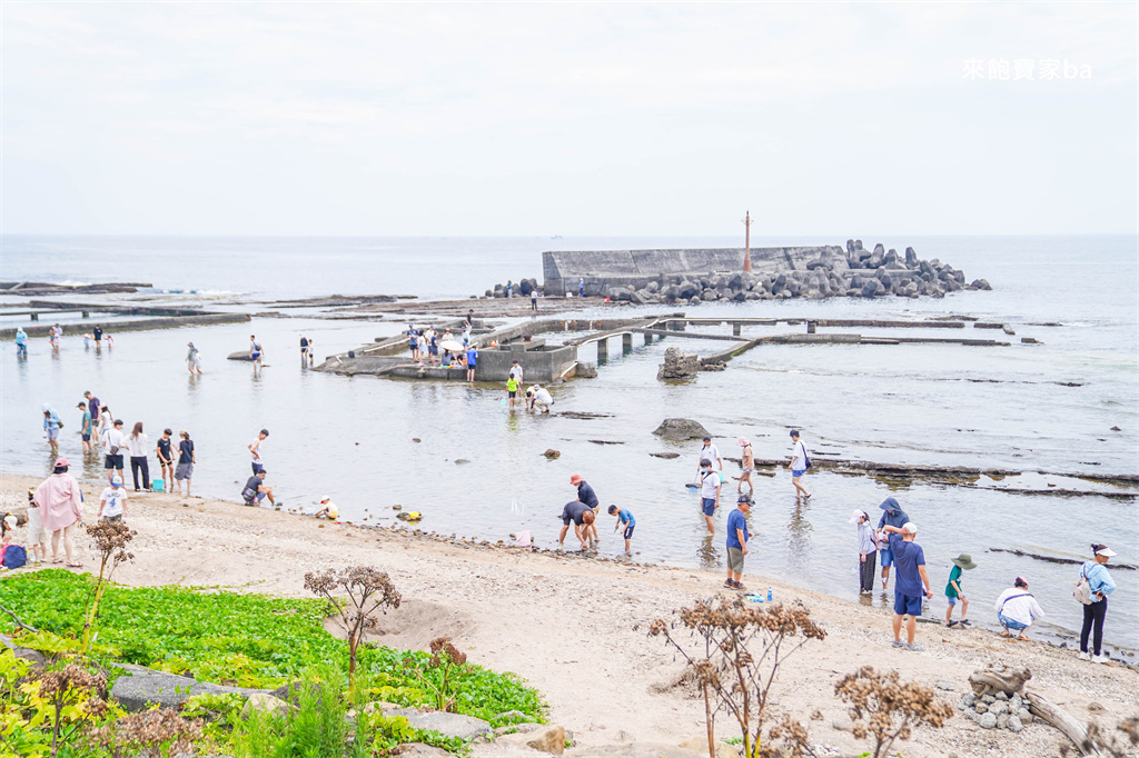 新北貢寮【馬崗潮間帶】最東邊的天然水族館，東北角探索海洋生態 @來飽寶家ba