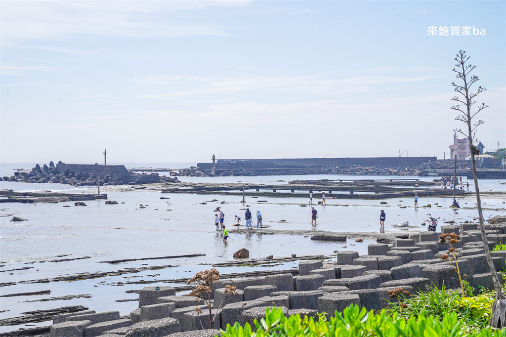 新北貢寮【馬崗潮間帶】最東邊的天然水族館，東北角探索海洋生態 @來飽寶家ba