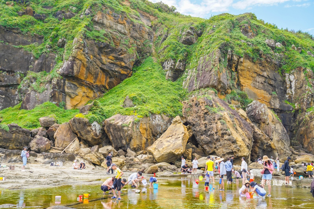 基隆玩水景點【大坪海岸】爆紅的潮間帶！親子玩水、觀察自然生態、海蝕奇觀 @來飽寶家ba