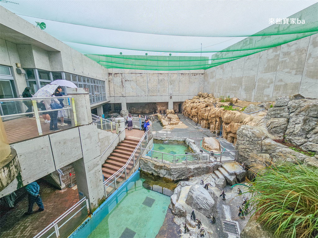 日本長崎【長崎企鵝水族館】全世界企鵝種類最多，近距離觀察170隻企鵝（2026最新門票/開放時間） @來飽寶家ba