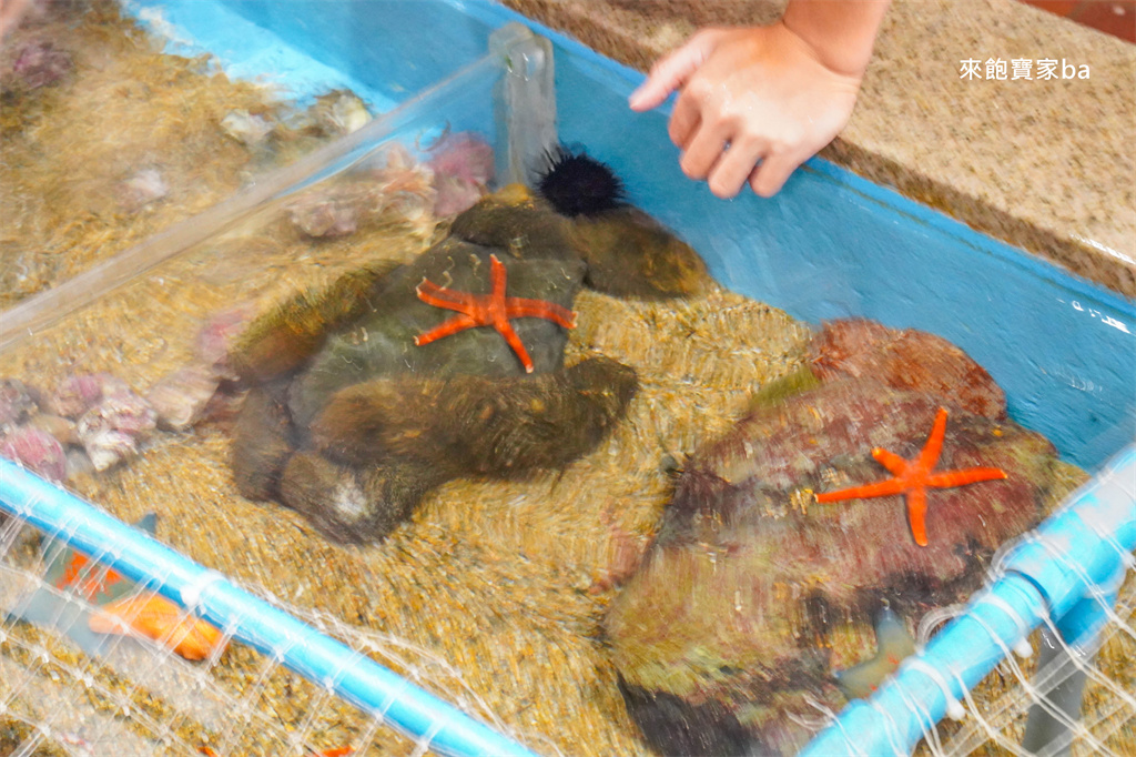 日本長崎【長崎企鵝水族館】全世界企鵝種類最多，近距離觀察170隻企鵝（2026最新門票/開放時間） @來飽寶家ba