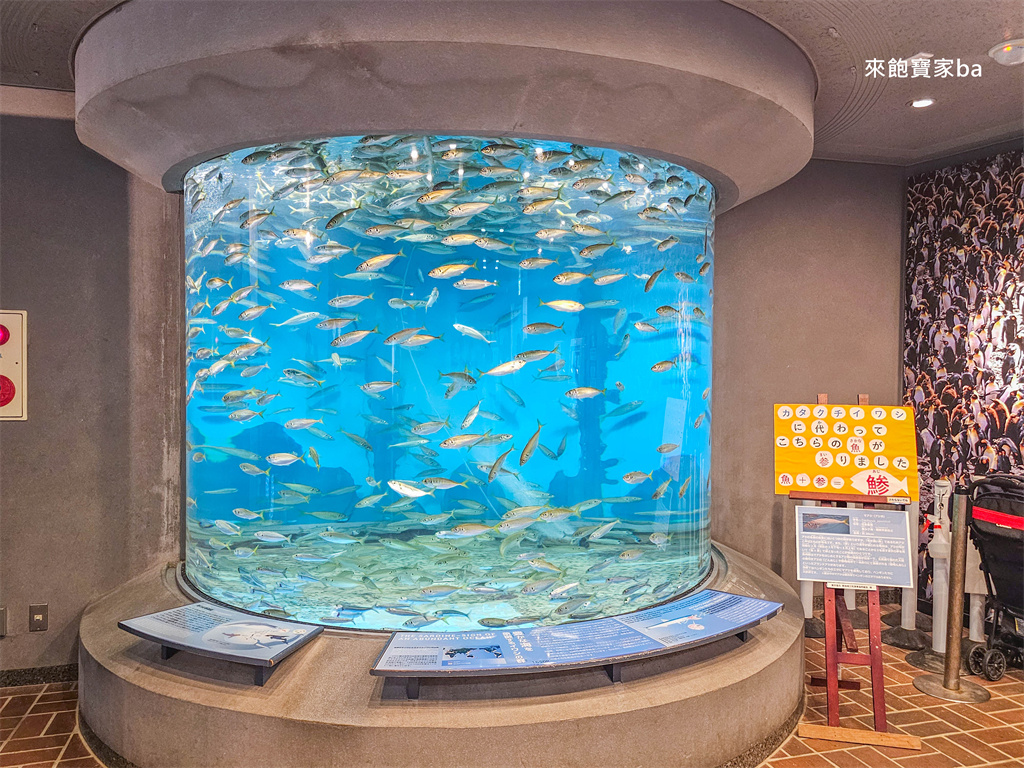 日本長崎【長崎企鵝水族館】全世界企鵝種類最多，近距離觀察170隻企鵝（2026最新門票/開放時間） @來飽寶家ba