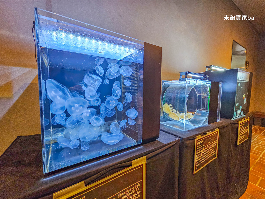 日本長崎【長崎企鵝水族館】全世界企鵝種類最多，近距離觀察170隻企鵝（2026最新門票/開放時間） @來飽寶家ba