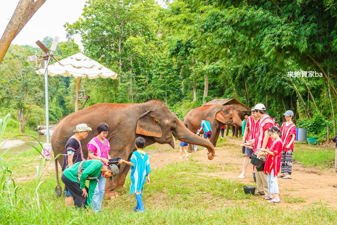 【清邁景點】Kerchor 克喬大象生態公園,與大象互動、餵食、洗澡以及竹筏漂流 @來飽寶家ba 【清邁景點】Kerchor 克喬大象生態公園,與大象互動、餵食、洗澡以及竹筏漂流 @來飽寶家ba