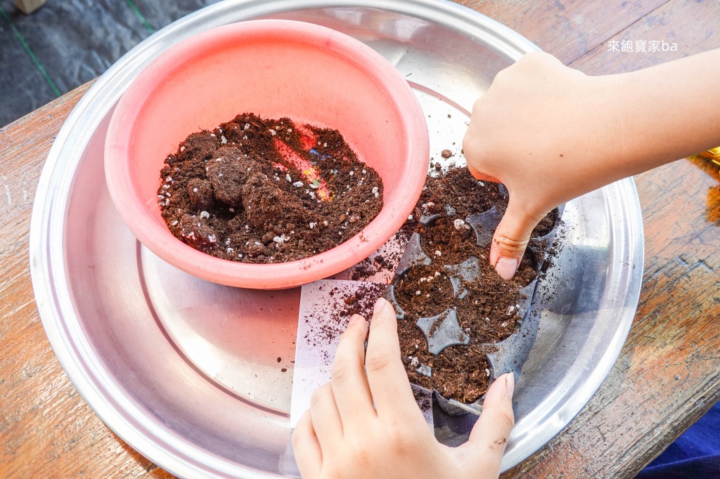 彰化玩水景點【樂採果溫室觀光農場】夏季限定戲水池，香腸DIY、 抓泥鰍等親子體驗 @來飽寶家ba