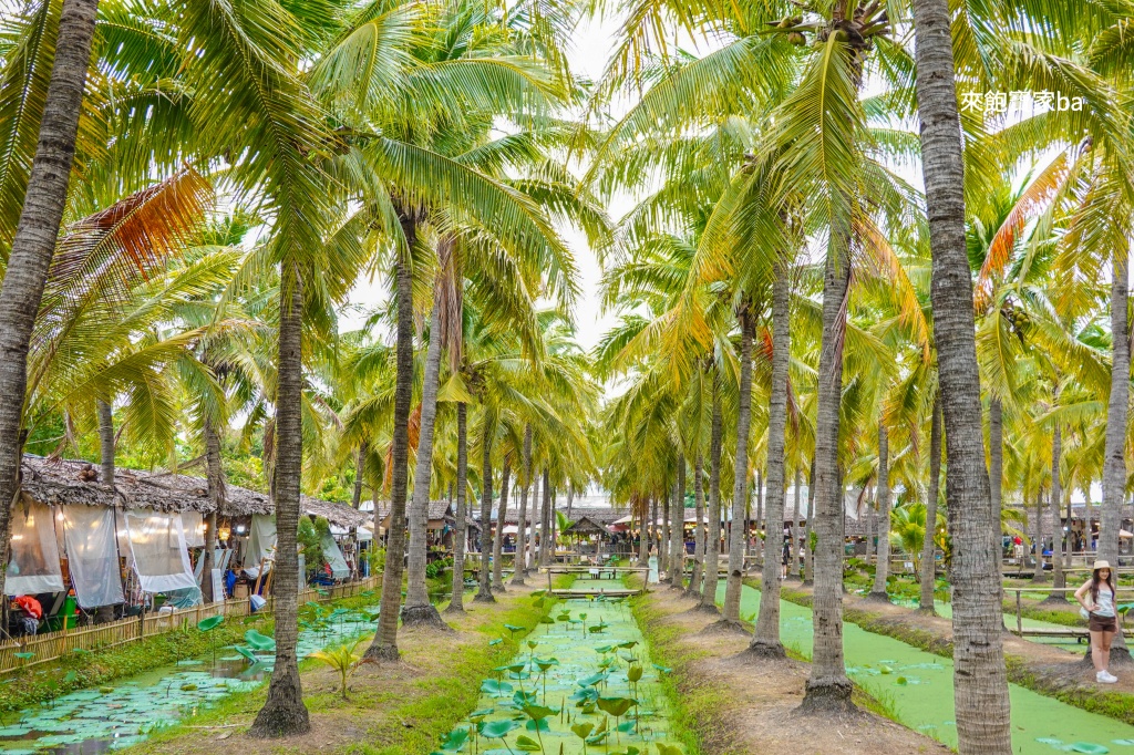【椰林市集】椰林環繞的 Coconut Market,最好拍的清邁市集推薦 @來飽寶家ba 【椰林市集】椰林環繞的 Coconut Market,最好拍的清邁市集推薦 @來飽寶家ba