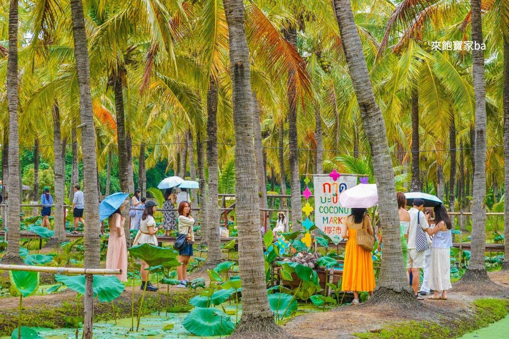 【椰林市集】椰林環繞的 Coconut Market,最好拍的清邁市集推薦 @來飽寶家ba 【椰林市集】椰林環繞的 Coconut Market,最好拍的清邁市集推薦 @來飽寶家ba