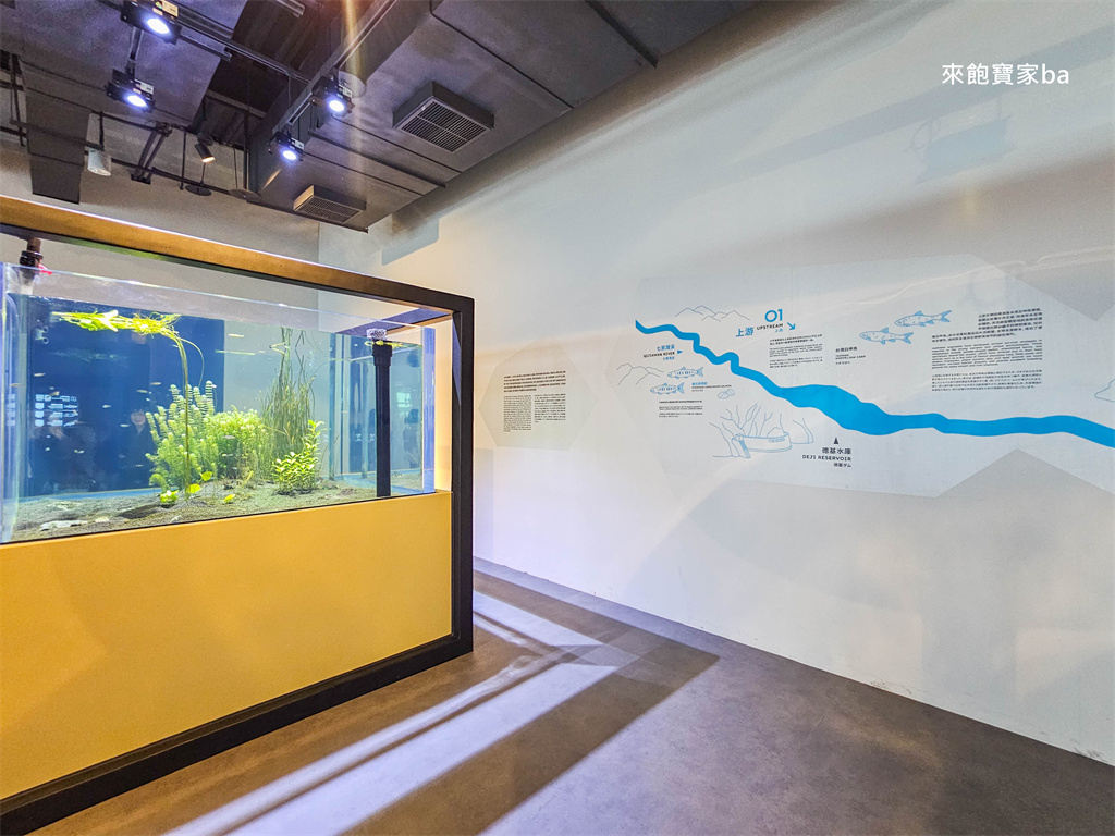 台中清水｜台中海洋館值得去嗎？展區亮點、門票資訊與海線半日遊這樣排！ @來飽寶家ba