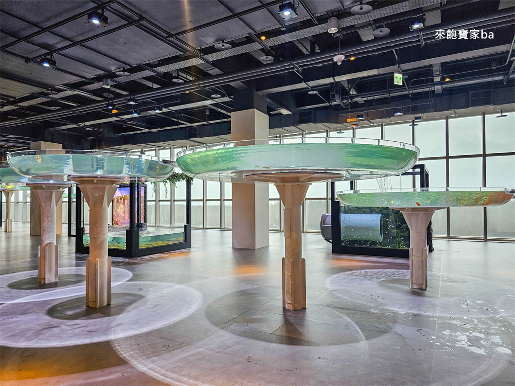 台中清水｜台中海洋館值得去嗎？展區亮點、門票資訊與海線半日遊這樣排！ @來飽寶家ba