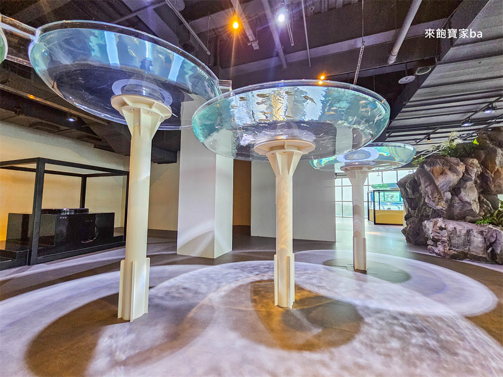 台中清水｜台中海洋館值得去嗎？展區亮點、門票資訊與海線半日遊這樣排！ @來飽寶家ba