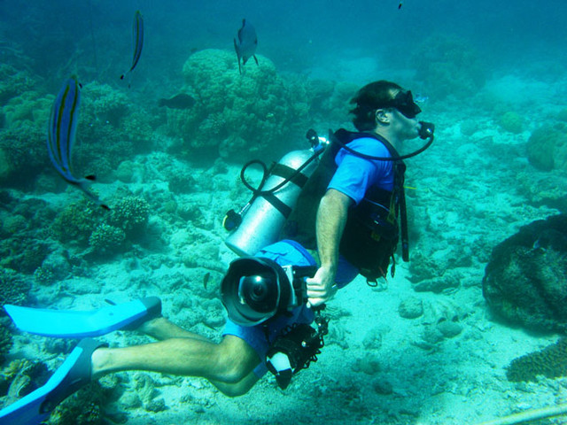 【AU】澳洲Cairns凱恩斯大堡礁Great Barrier Reef潛水 @來飽寶家ba