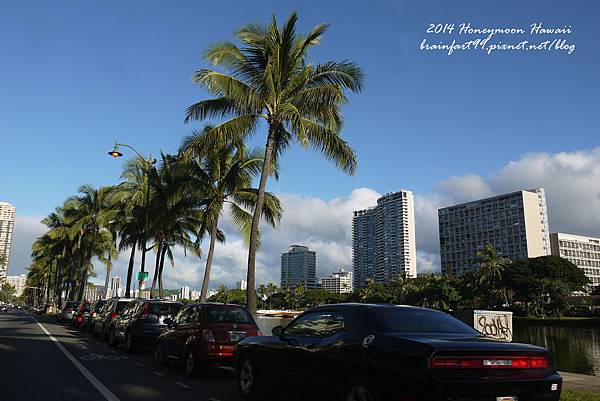 ♥♥♥ Honeymoon ♥♥♥ Aloha‧rentalcars夏威夷自助租車 @來飽寶家ba