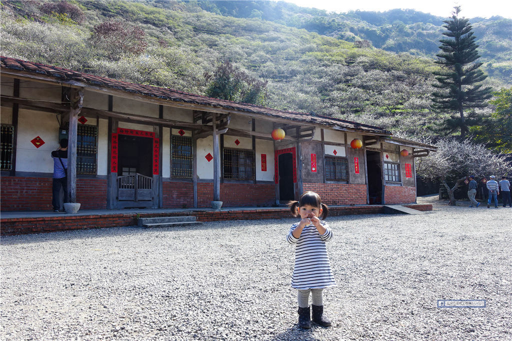 賴家古厝 ｜ 高雄賞梅?六龜寶來山區免費賞梅好去處！ @來飽寶家ba