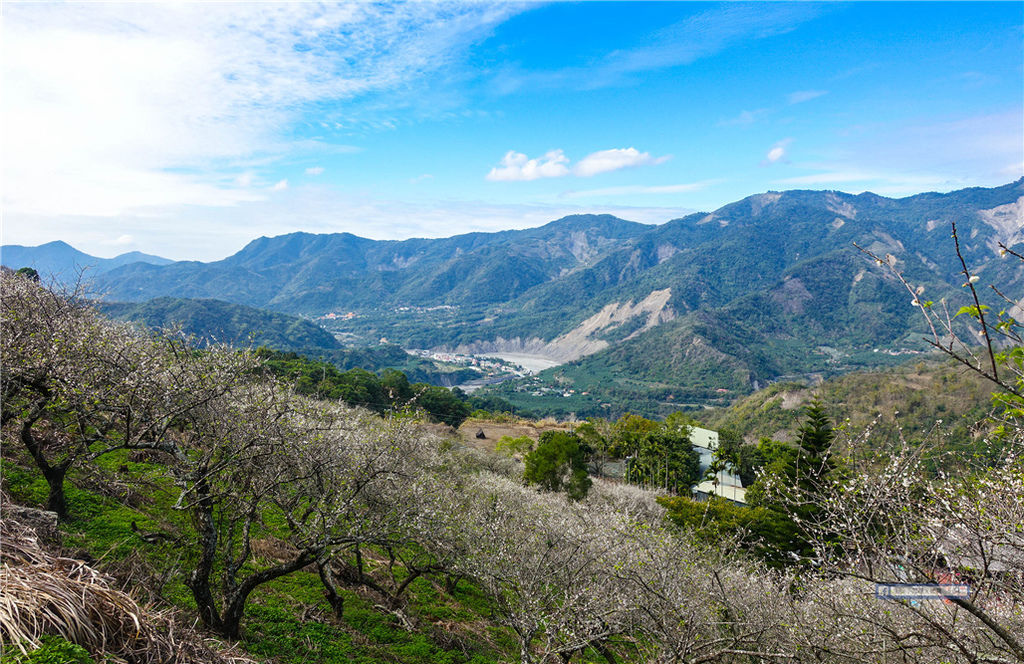 賴家古厝 ｜ 高雄賞梅?六龜寶來山區免費賞梅好去處！ @來飽寶家ba