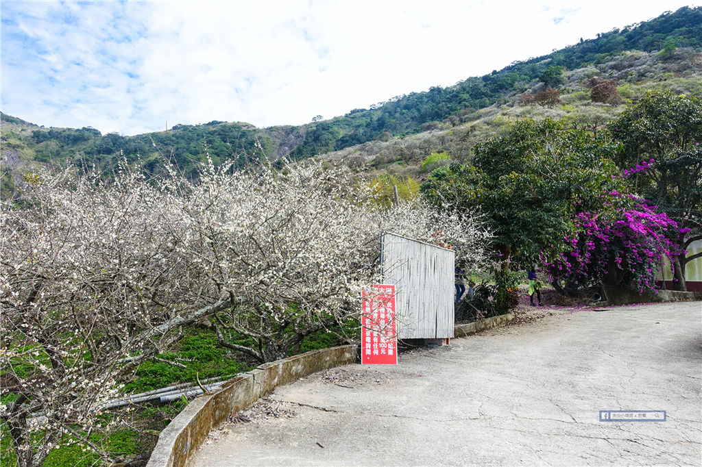 賴家古厝 ｜ 高雄賞梅?六龜寶來山區免費賞梅好去處！ @來飽寶家ba