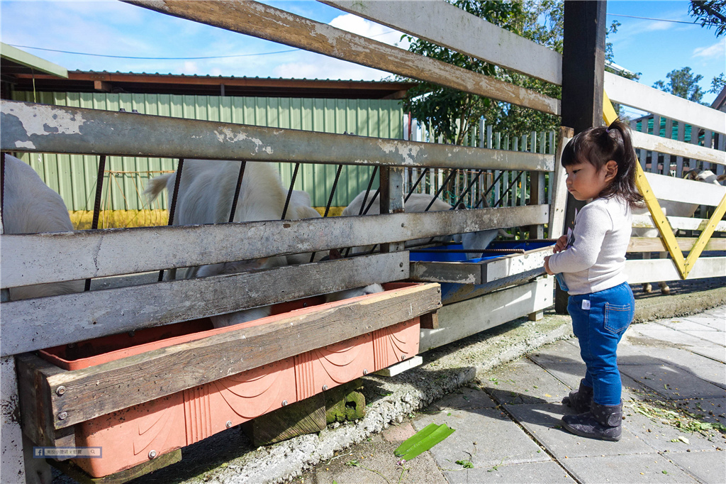 幸福20號農場 ｜宜蘭近梅花湖，餵羊餵雞賞鴕鳥及原木鉛筆DIY @來飽寶家ba