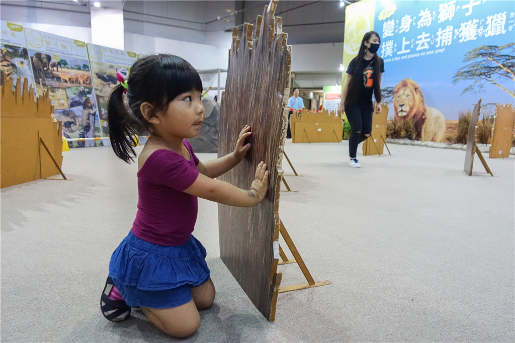 【變變變！MOVE生物體驗展】到台中世貿展出囉！變身企鵝、團子蟲、雙冠蜥體驗生物習性，結合知識娛樂的親子展 @來飽寶家ba