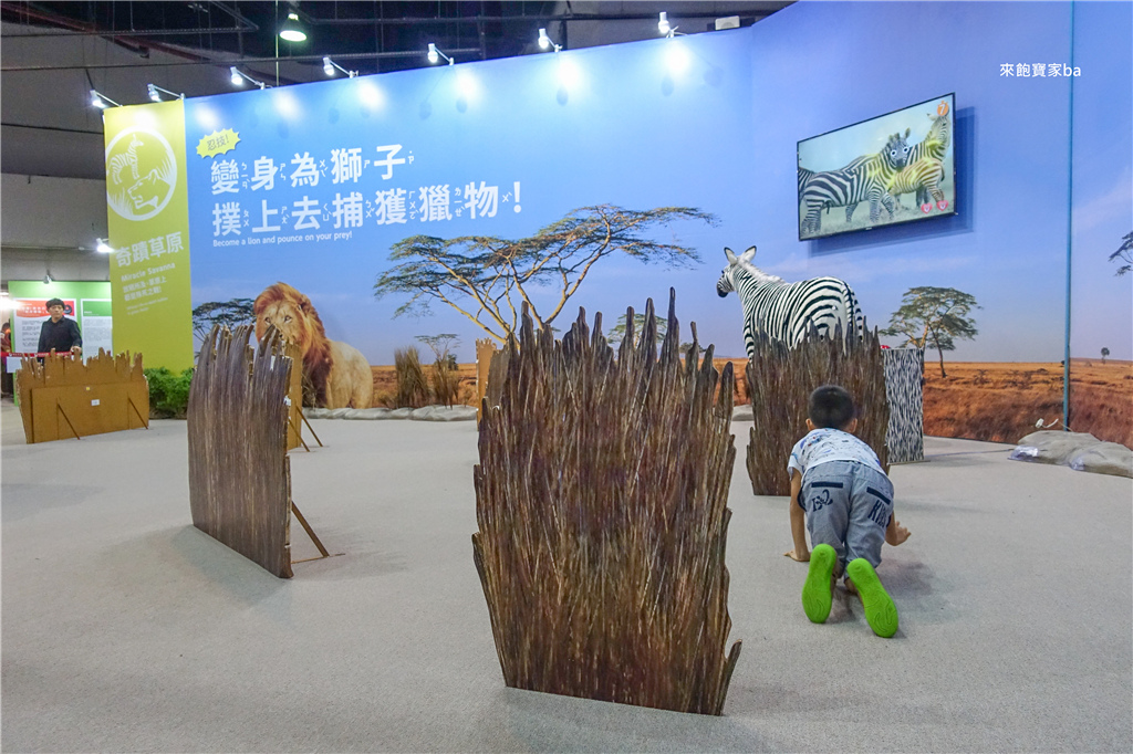 【變變變！MOVE生物體驗展】到台中世貿展出囉！變身企鵝、團子蟲、雙冠蜥體驗生物習性，結合知識娛樂的親子展 @來飽寶家ba