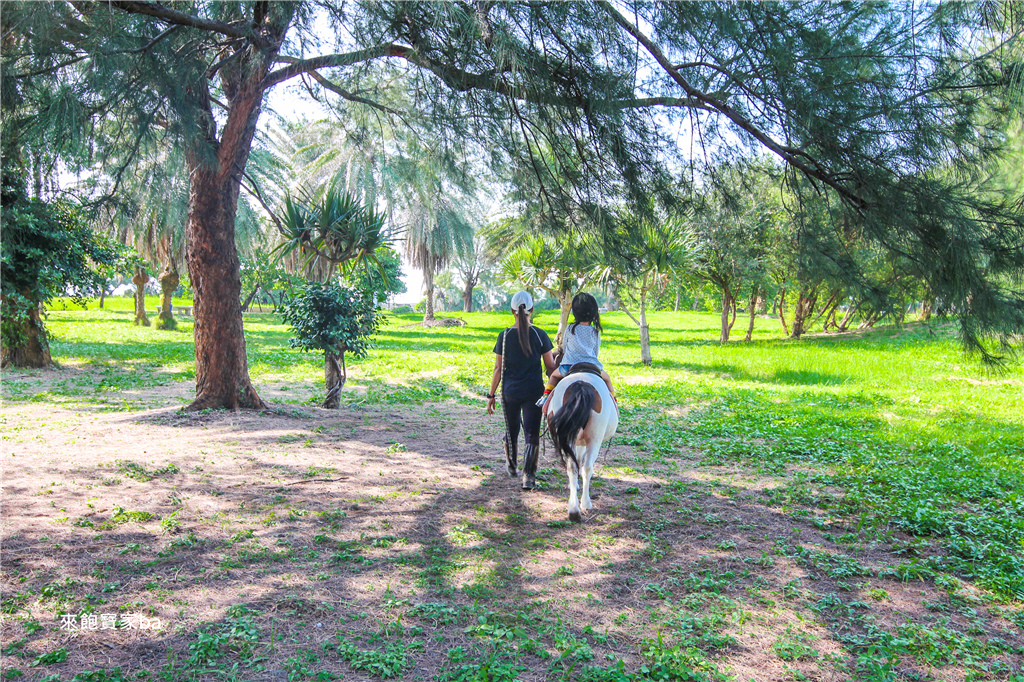 來去馬術場~餵馬、餵羊、騎馬體驗，騎乘迷你馬漫步親水公園 @來飽寶家ba