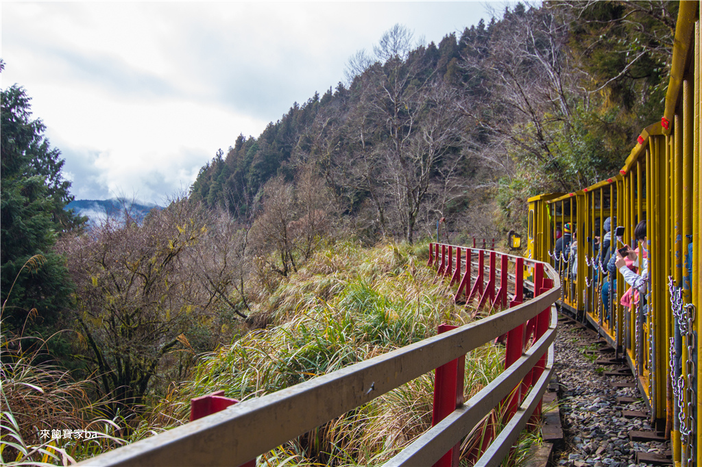 【宜蘭太平山】森林鐵道之旅，太平山蹦蹦車票價時刻表、路線，順遊鳩之澤泡溫泉煮溫泉蛋！ @來飽寶家ba