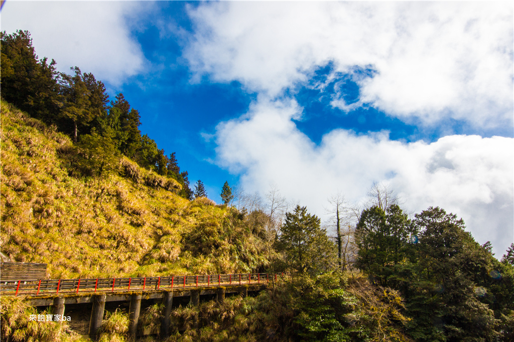 【宜蘭太平山】森林鐵道之旅，太平山蹦蹦車票價時刻表、路線，順遊鳩之澤泡溫泉煮溫泉蛋！ @來飽寶家ba